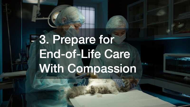 3. Prepare for End-of-Life Care With Compassion