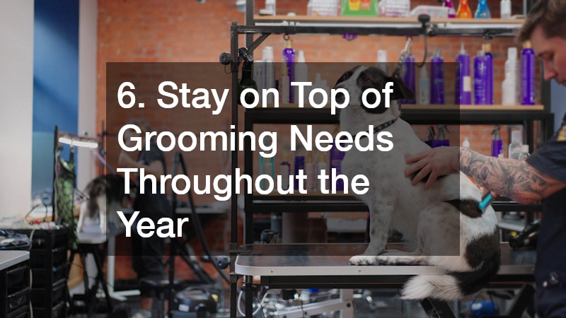 6. Stay on Top of Grooming Needs Throughout the Year