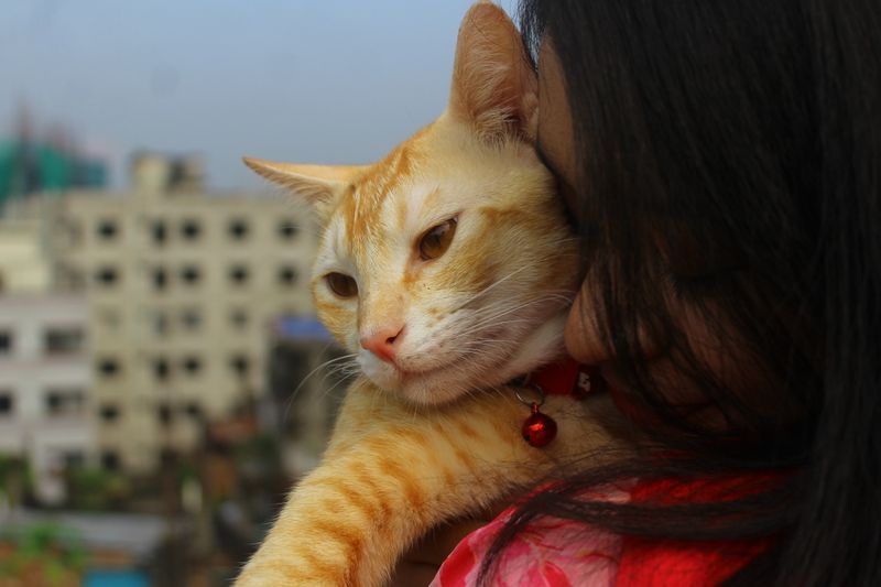 a woman holding a cat