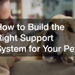 How to Build the Right Support System for Your Pet