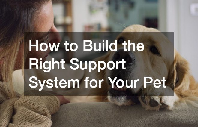 How to Build the Right Support System for Your Pet