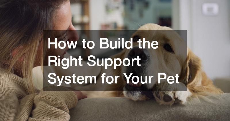 How to Build the Right Support System for Your Pet