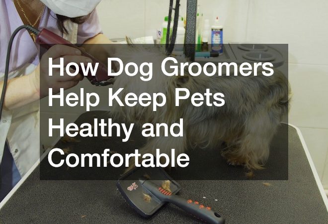 How Dog Groomers Help Keep Pets Healthy and Comfortable