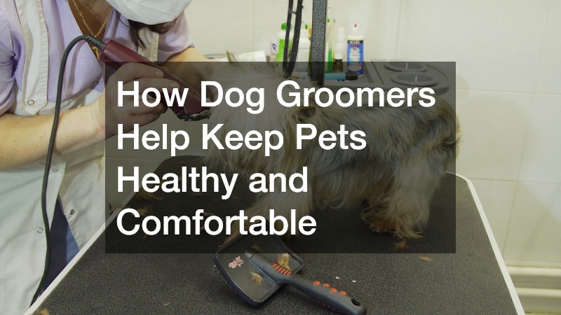 How Dog Groomers Help Keep Pets Healthy and Comfortable